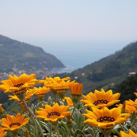 L'Antico Borgo B&B Levanto Buitenkant foto