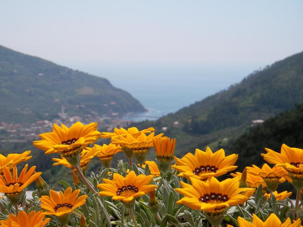 L'Antico Borgo B&B Levanto Buitenkant foto